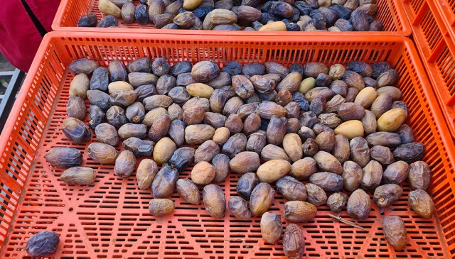 dates-003